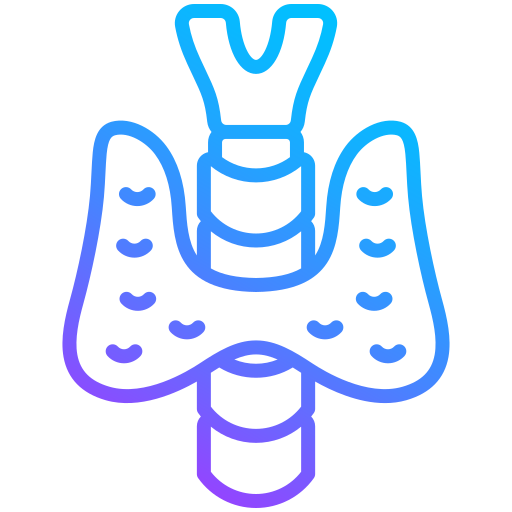 icon - /uploads/s/9/n/g/9ngz9fmq1zab/img/full_wYs1bSz9.png